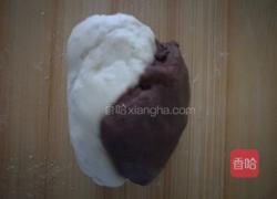 小企鹅的做法图解3