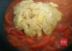 番茄鸡蛋的做法图解7