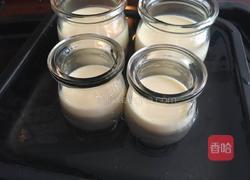 牛奶布丁的做法图解7