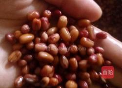 红豆馅豆包的做法图解2