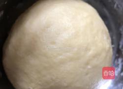 香喷喷的奶酪包的做法图解5