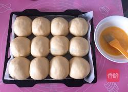 波兰种豆沙餐包的做法图解9