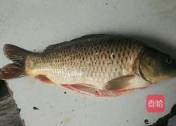 老干妈豆豉鱼的做法图解1