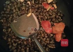 香辣螺蛳的做法图解2