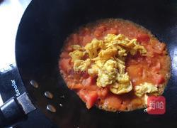 西红柿鸡蛋打卤面的做法图解10