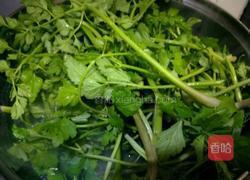 凉拌水芹菜的做法图解5