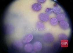 紫薯小米粥的做法图解5