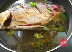 家常青椒焖鲫鱼的做法图解7
