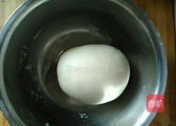 饺子……西葫芦鸡蛋洋葱馅的做法图解2