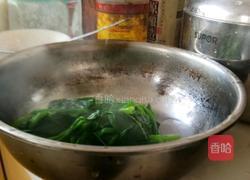 蒜蓉菠菜的做法图解3