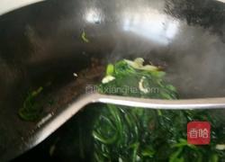 蒜蓉菠菜的做法图解6