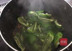 私房西北风炖肉的做法图解12