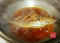 茄汁桂鱼的做法图解6