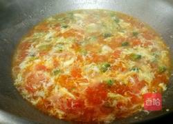 蕃茄鸡蛋羹的做法图解8