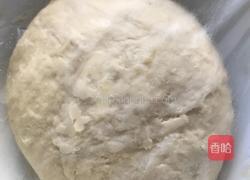 卷心菜水饺的做法图解4