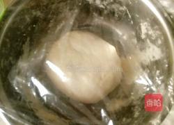 猪肉白菜饼的做法图解1