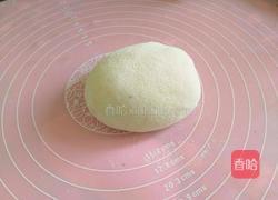 菠菜饺子的做法图解8