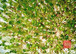 芽苗菜 白萝卜苗的做法图解4