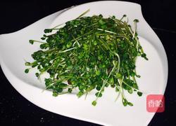 芽苗菜 白萝卜苗的做法图解6
