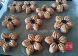 桃花酥的做法图解24