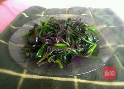 辣椒炒紫背菜的做法图解8