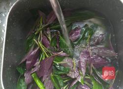辣椒炒紫背菜的做法图解2