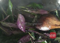 辣椒炒紫背菜的做法图解7