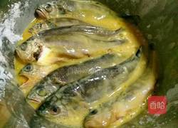 炸小黄鱼的做法图解5