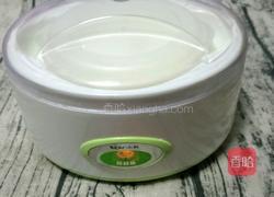 自制猕猴桃酸奶的做法图解7