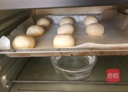 汉堡胚的做法图解7