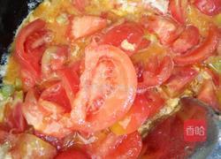 特色番茄炒蛋的做法图解7