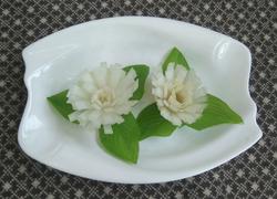 萝卜花