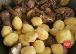 小土豆焖鸡的做法图解6