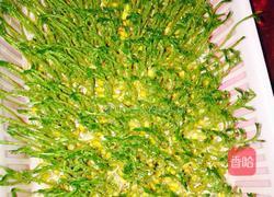 松柳芽苗菜的做法图解6