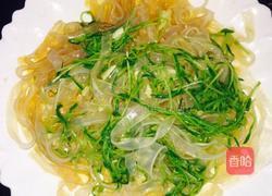 松柳芽苗菜的做法图解9