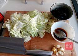 鱼香白菜叶的做法图解1