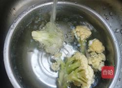 干锅肉丝菜花的做法图解5