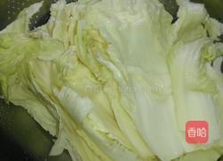 自制酱香辣白菜的做法图解4