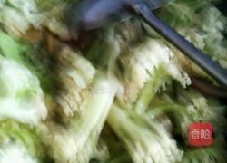 春意闹的做法图解5