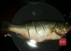 干锅鲈鱼的做法图解1