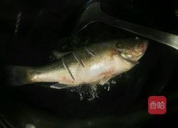 干锅鲈鱼的做法图解4