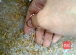 养胃减肥粥的做法图解2