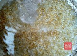 养胃减肥粥的做法图解3