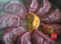 彩色蔬菜汁饺子的做法图解9