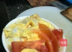 番茄鸡蛋粉的做法图解7