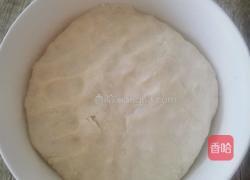 烫面韭菜合子的做法图解1