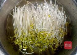 菠菜炒黄豆芽的做法图解2
