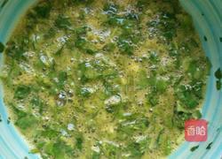 香菜煎鸡蛋的做法图解6