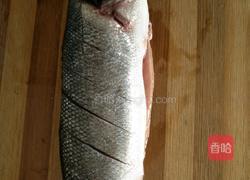 葱油鲈鱼的做法图解1