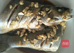 葱油鲈鱼的做法图解5